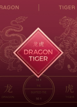 Dragon Tiger by Switch Studios