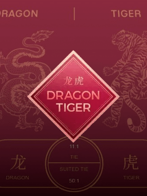 Dragon Tiger by Switch Studios